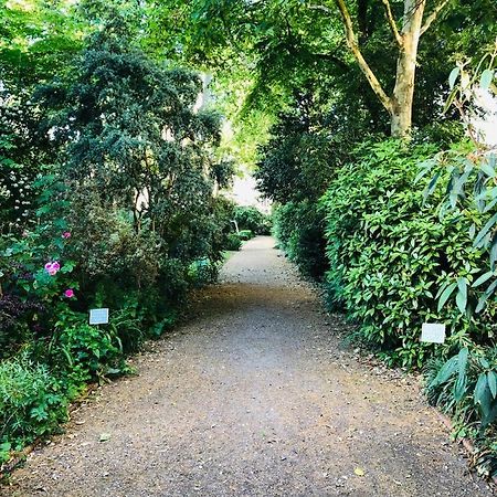 Southern Belgravia Apartments 런던 외부 사진